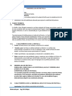 PDF Mermelada de Frutilla - Compress
