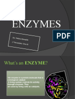 Enzymes: By: Fatima Khanafe R 2 Secondary Class B