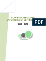 Plan Estrategico de Enfermeria de Extremadura