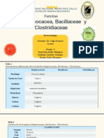 exposicion bacter