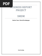 Business Report Project - Sheetal - SMDM