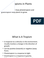 Tropisms in Plants: LO Be Able To Explain How Phototropism and Gravitropism Help Plants To Grow