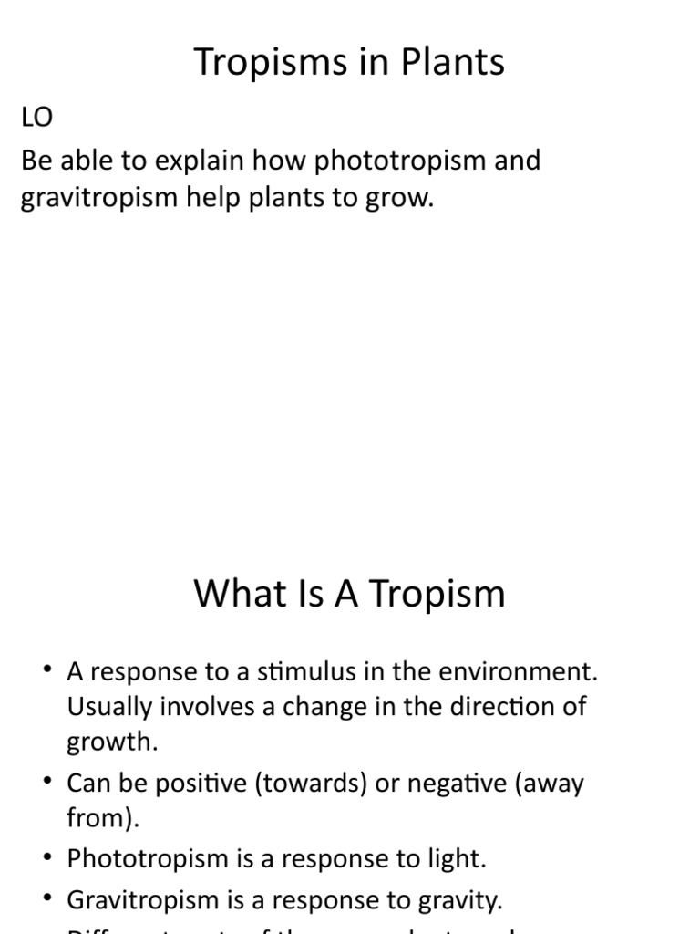 Tropisms in Plants LO Be Able To Explain How Phototropism and