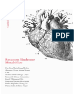 Resumen Síndrome Metabolico