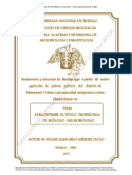 Mendez Olulo, Edgar Gian Carlosbacillus Completo