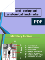 Intraoral Periapical Anatomy