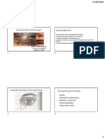 Assessment of The Eyes STUDENT