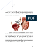 Laporan Pendahuluan Nefrolitiasis