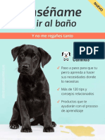 GUIA IR AL BAÑO Ensenar Al Cachorro Donde Hacer Sus Necesidades