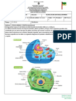 Ciencias Naturales Séptimo Guía 1