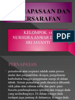 Pernapasaan Dan Persarafan