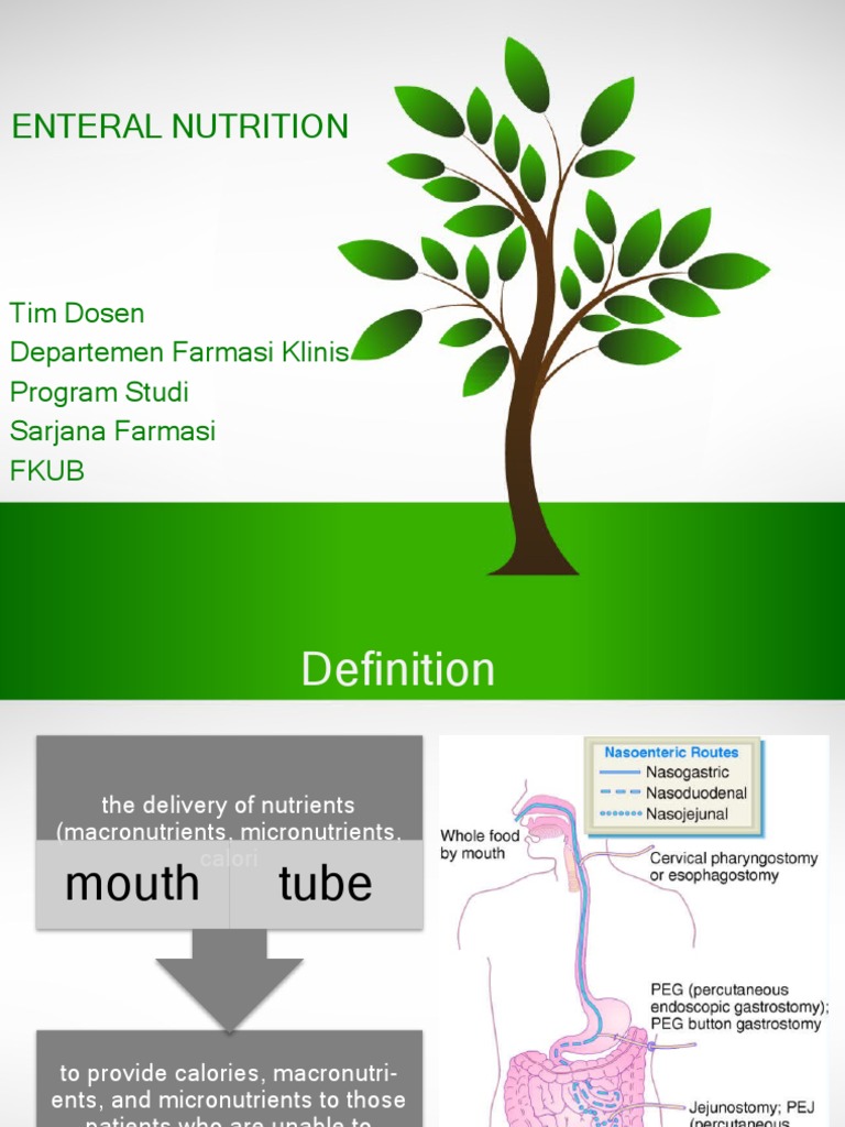Enteral Nutrition Guide PDF Diet & Nutrition Dietary Fiber