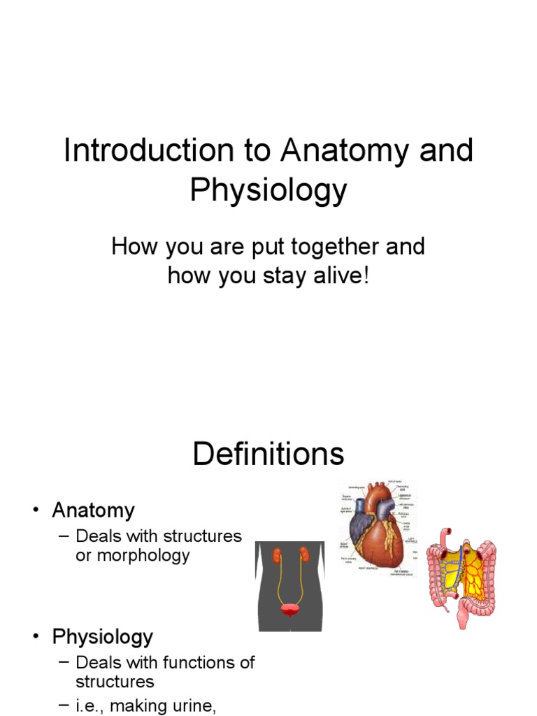 CH 1 Intro To Anat and Physio | PDF