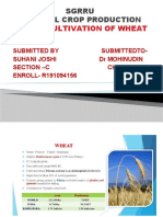 Sgrru Pratical Crop Production: Topic - Cultivation of Wheat