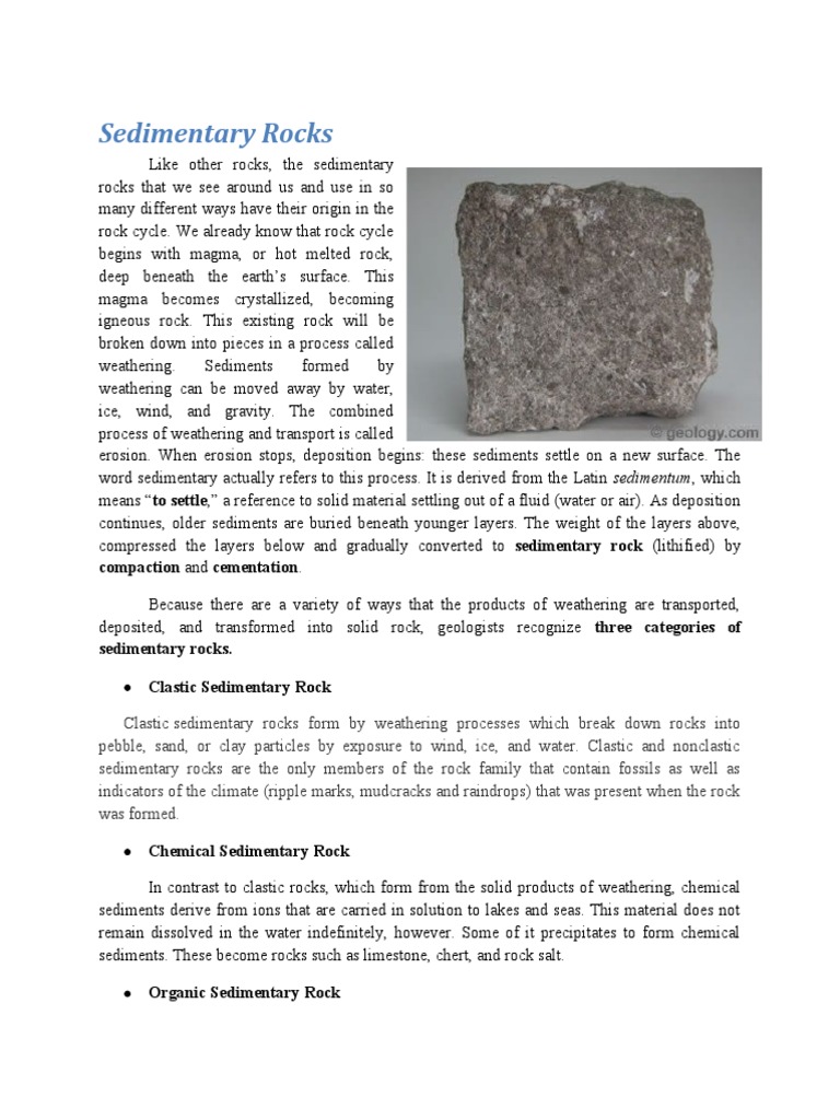 What Are Sedimentary Rocks | PDF | Sedimentary Rock | Limestone, image size:768x1024