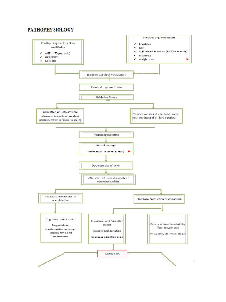 Dementia Pathophysiology 2 | PDF