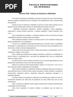 Reflexão CUM