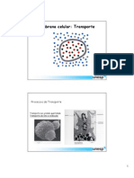 Aula 5 Membrana Celular Transporte