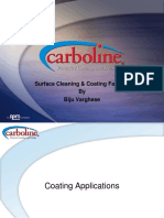 Carboline Product segment