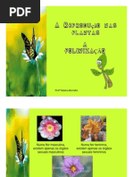 reproduçãodas plantas