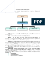 Instrumente Necesare Studierii Peiței-1