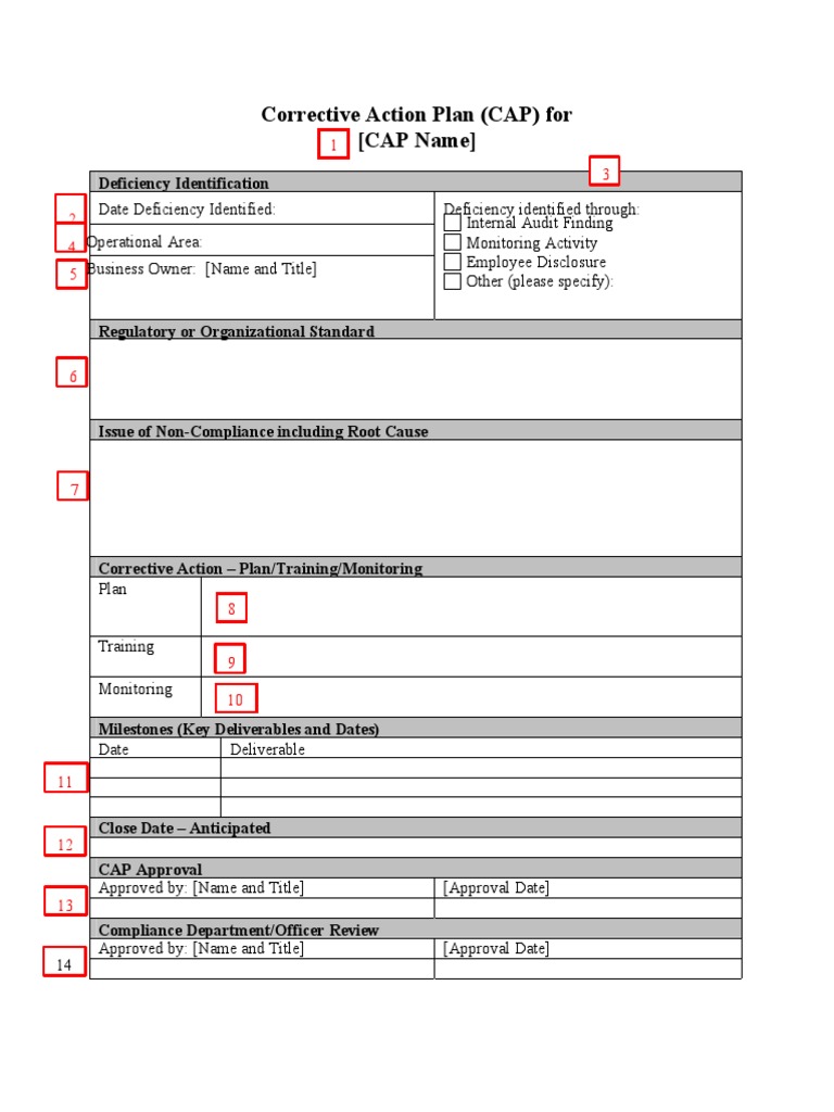 Corrective Action Plan (CAP) For (CAP Name) PDF Regulatory