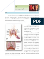 pleurodesis (ไทย)