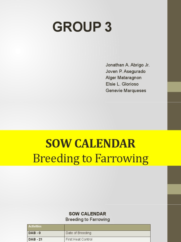 Sow Breeding and Farrowing Calendar | PDF | Pregnancy | Domestic Pig