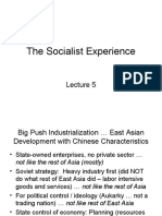 Lecture 05 The Socialist Experience