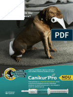 Canikurpro Advert