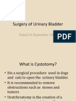 2-Cystotomy in A SA