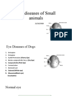 Eye Diseases of Small Animals Guide /TITLE