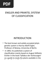 Engler and Prantel System of Classification