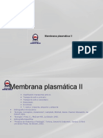 membrana plasm 2b