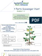 Edible Plant Parts Scavenger Hunt: Grade(s) : 1 - 3