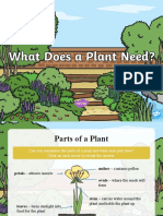 To Help Discuss What Does A Healthy Plant Need Powerpoint