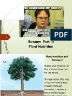 Plant Nutrition and Transport Mechanisms