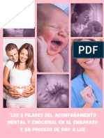 Ebook 3 Pilares Del Acompañamiento Mental y Emocional en El Embarazo y El Nacimiento
