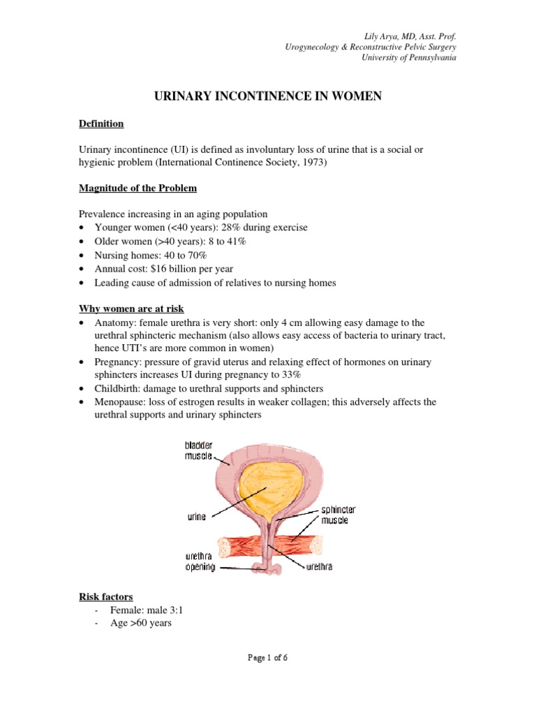 Urinary Incontinence Handout Urinary Incontinence Urology