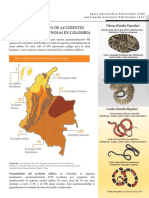 Inforgrafía Accidente Ofídico