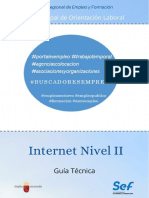 20082-Texto Completo 1 Guía Técnica Internet Nivel II