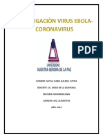 Virus Ebola-Coronavirus-Natali Balboa