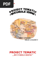 iarna-proiect tematic1