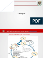 Cell Cycle: Abdul Wali Khan University Mardan Pakistan