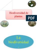 Biodiversiada (Pre-Militar)