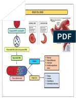 C3 B1 U2 Handout - Sickle Cell Crisis