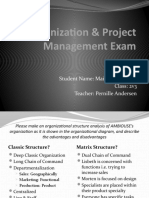 Organization & Project Management Exam