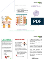 Folleto Del Colesterol