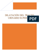 Dilatación Tracto Urinario Superior (Dilatation Upper Urinary Tract