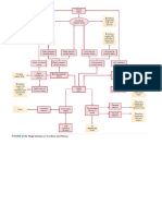 Arteries and Veins Mind Map